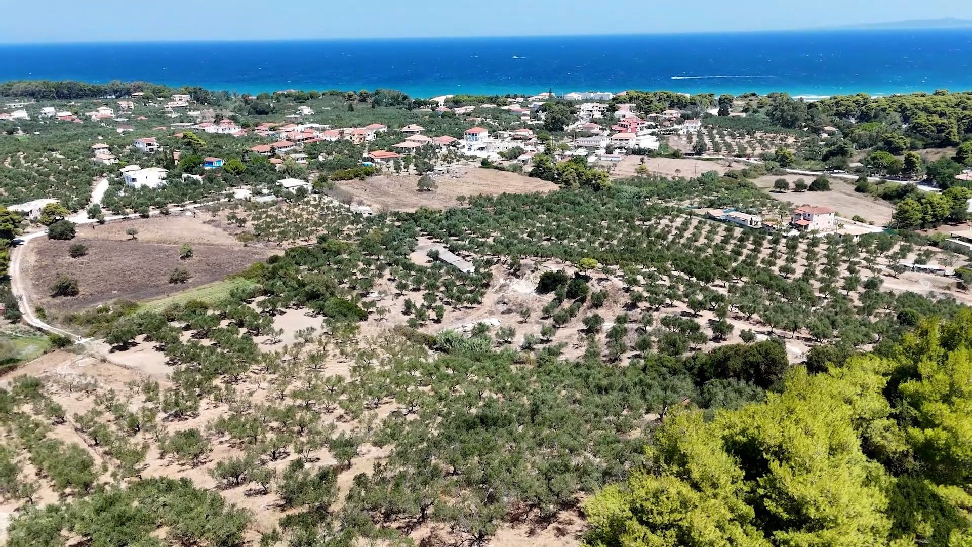 2land-plot-for-sale-vasilikos-zakynthos-331500